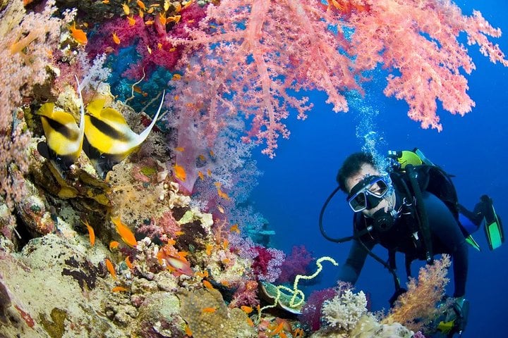 1 Things to Do in Red Sea