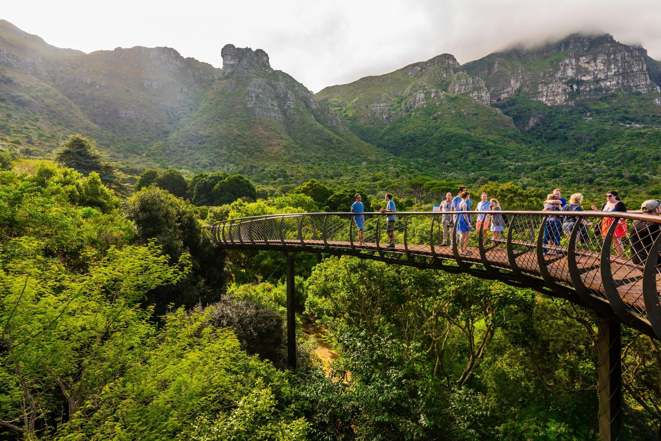 3 Things to Do in Kirstenbosch National Botanical Garden