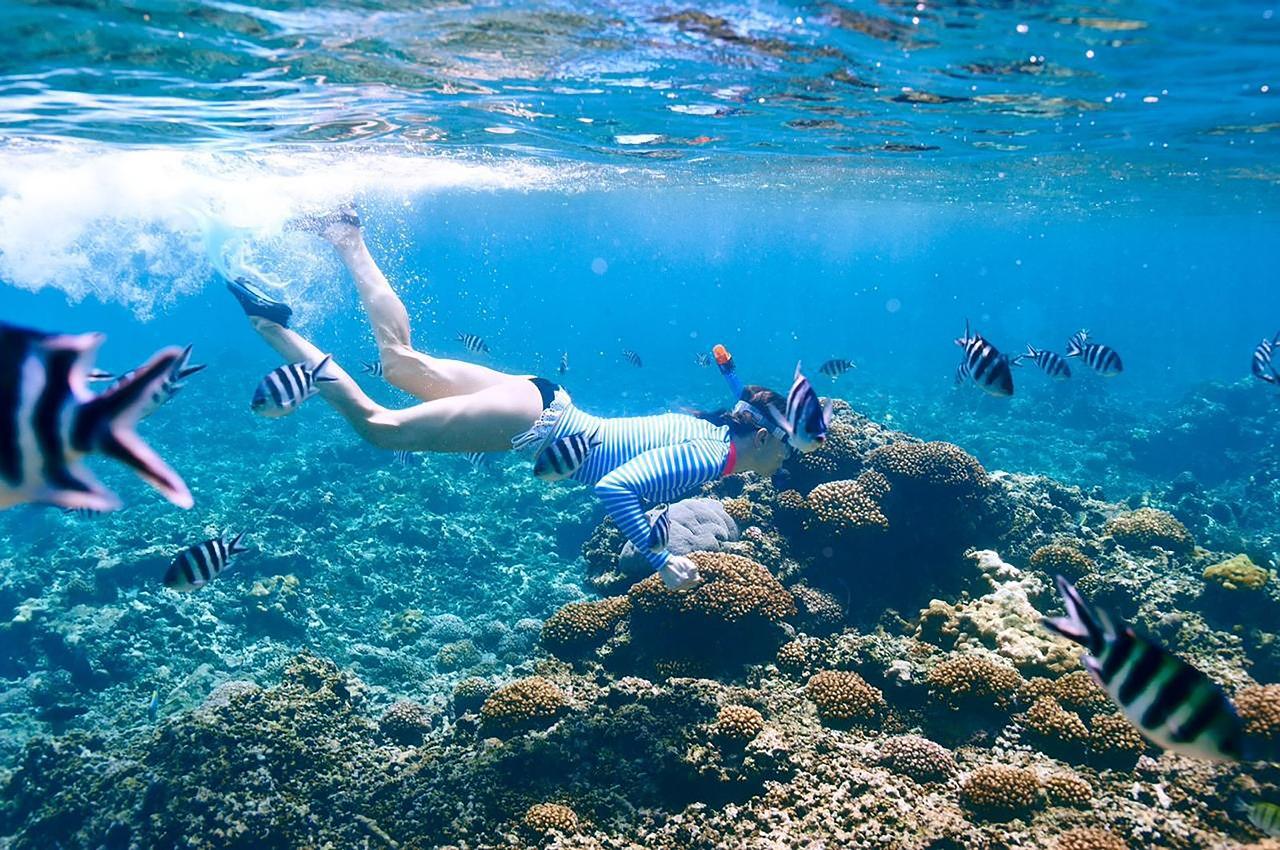 6 Things to Do in Orange Bay