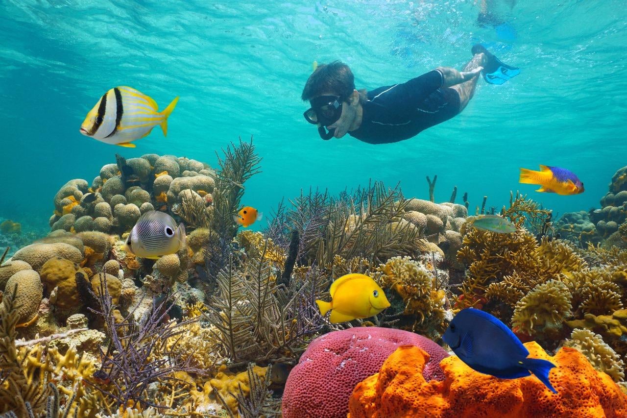 3 Things to Do in Ras Mohamed Nature Reserve