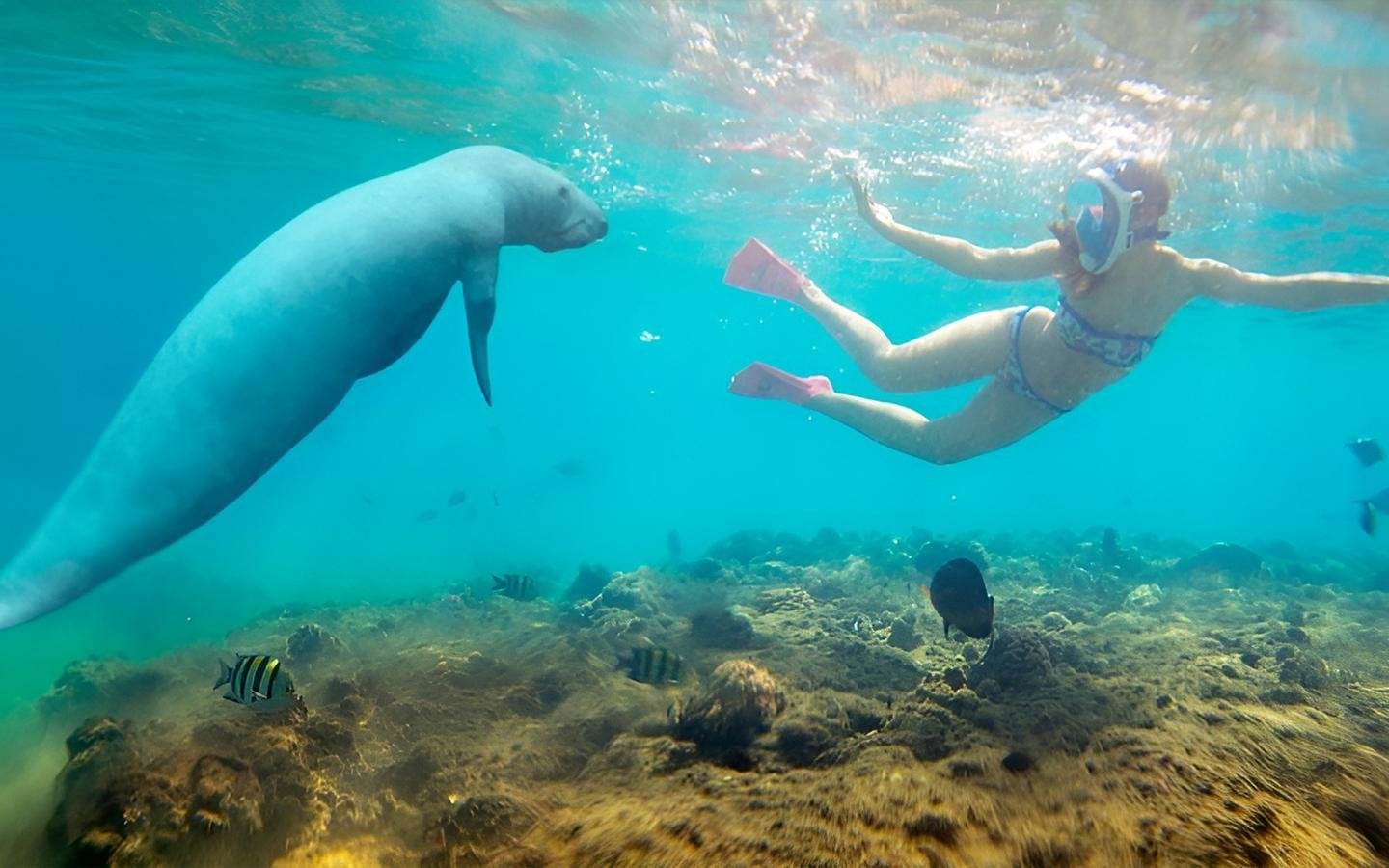 1 Things to Do in Red Sea Governorate